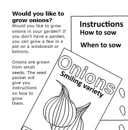 Line drawing of a packet of onion seeds