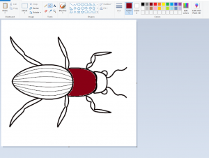 A black and white line drawing of a beetle which has been partially coloured in using s free drawing app
