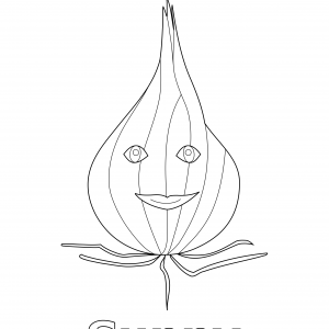 Line drawing of an onion