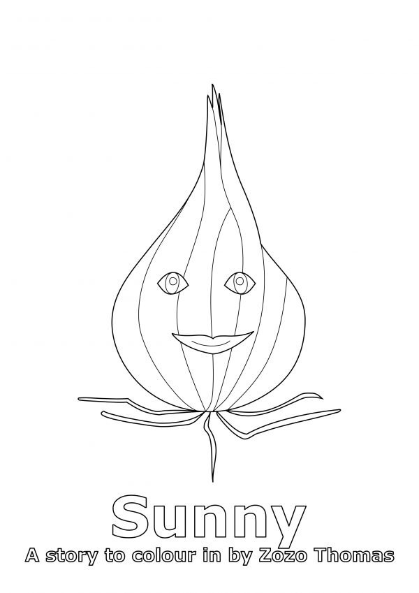 Line drawing of an onion