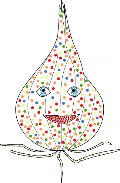 Drawing of an onion with colourful spots