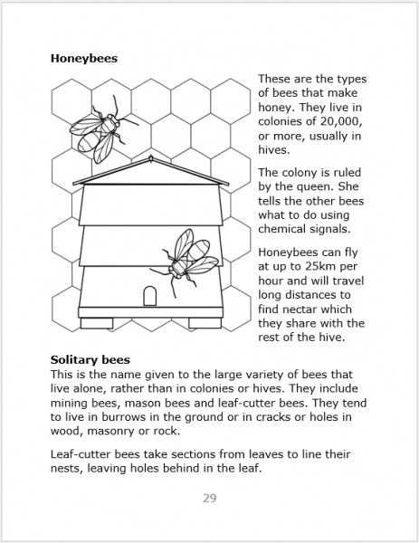 A black and white line drawing of a couple of bees next to a bee hive alongside some text from the book, Buzz Bee Me.
