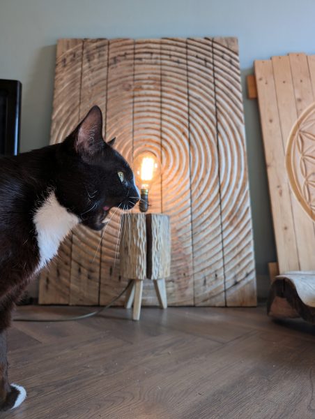 A cat looking at a woodcarving by David Boase