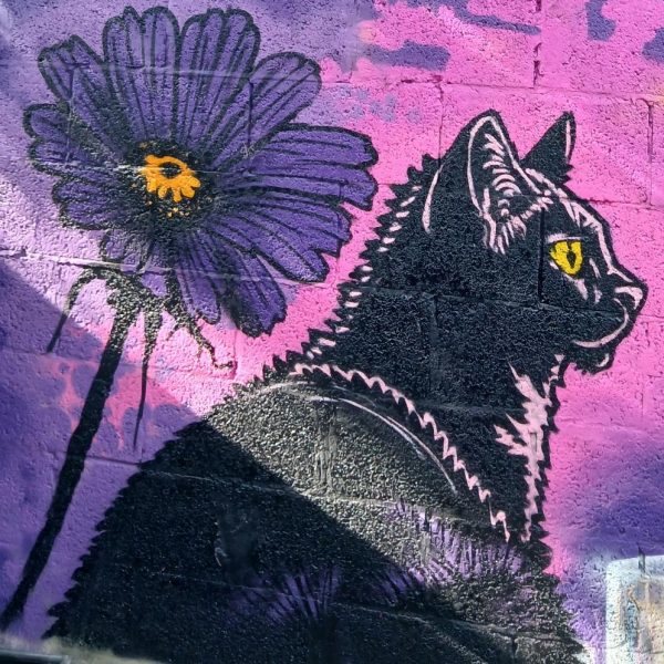 An image of a black cat and a flower painted on a wall by the artist, Komic